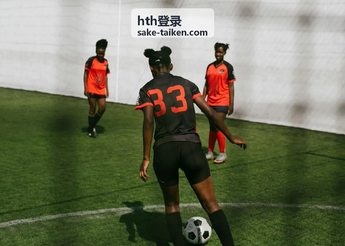 hth登录登录设备列表核对与移除操作示意