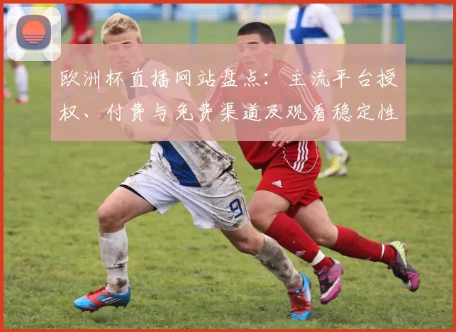 欧洲杯直播网站盘点：主流平台授权、付费与免费渠道及观看稳定性对比