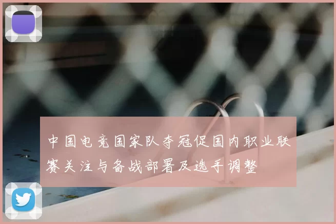 中国电竞国家队夺冠促国内职业联赛关注与备战部署及选手调整