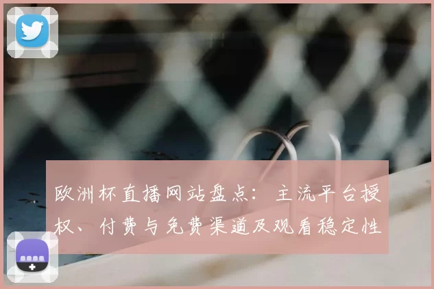 欧洲杯直播网站盘点：主流平台授权、付费与免费渠道及观看稳定性对比