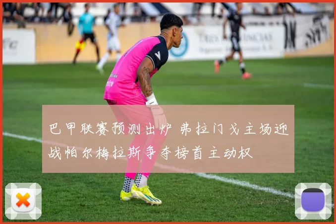 巴甲联赛预测出炉 弗拉门戈主场迎战帕尔梅拉斯争夺榜首主动权