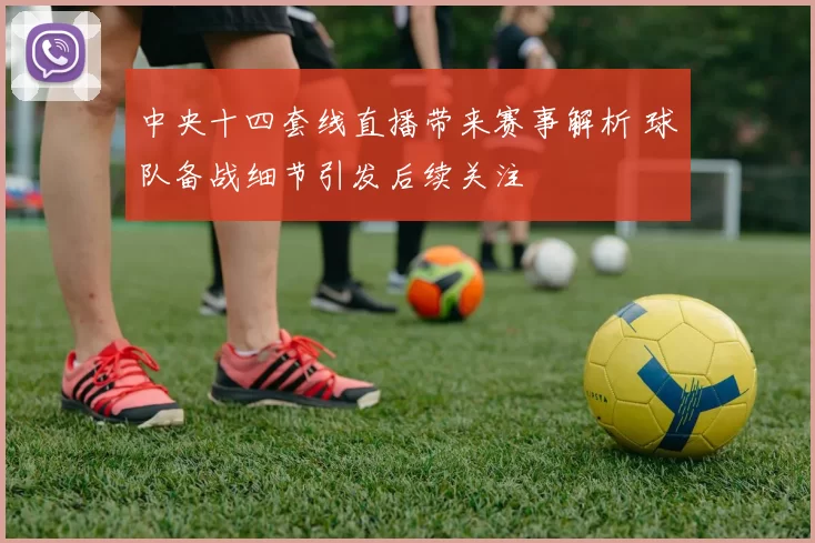 中央十四套线直播带来赛事解析 球队备战细节引发后续关注