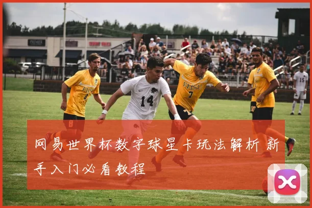 网易世界杯数字球星卡玩法解析 新手入门必看教程