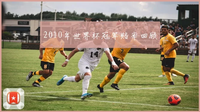 2010年世界杯冠军赔率回顾