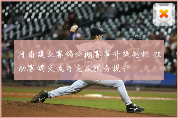 河南建业赛鸽公棚赛事升级亮相 推动赛鸽交流与竞技服务提升