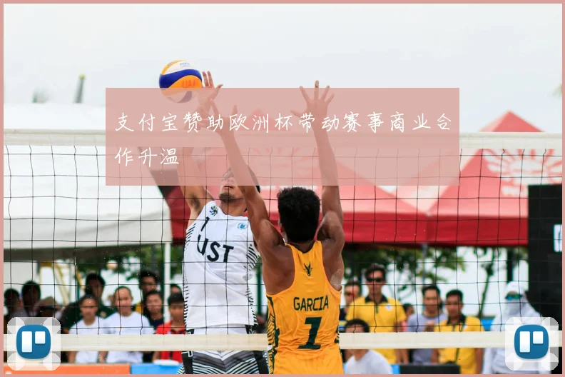 支付宝赞助欧洲杯带动赛事商业合作升温