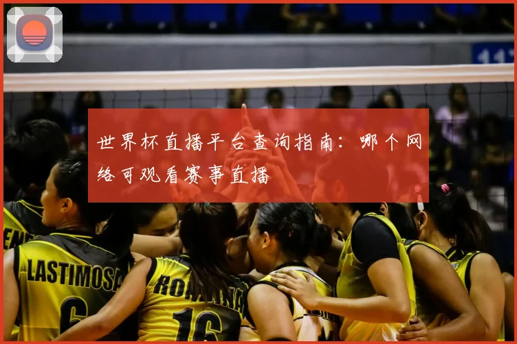 世界杯直播平台查询指南：哪个网络可观看赛事直播