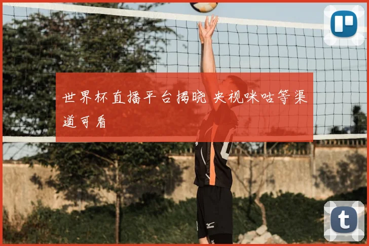 世界杯直播平台揭晓 央视咪咕等渠道可看